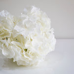 White Faux Hydrangea