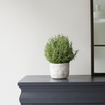 faux rosemary bush in stone pot