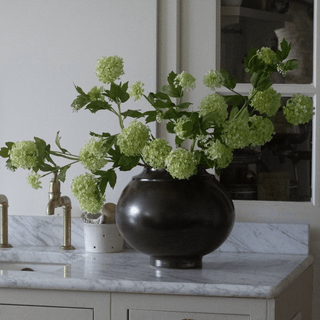 Pots and Vases - CharlesTed Home