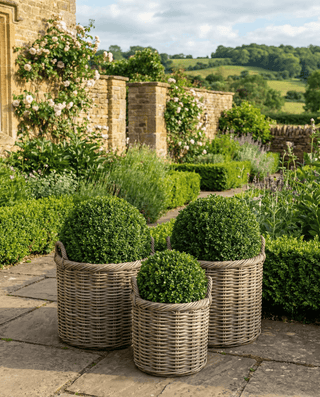 Storage Trunks, Boxes & Baskets - CharlesTed Home