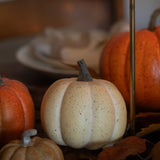 Charles Ted Rustic White Faux Pumpkins | Small & Medium Decorative Sizes