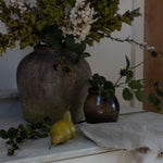 A stunning Hydrangea stem in warm green.