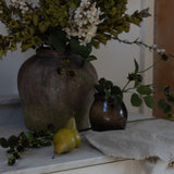 A stunning Hydrangea stem in warm green.