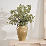 Natural Eucalyptus Stem