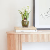 Charles Ted Faux Potted Hyacinth in Glass Planter