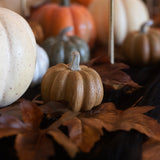 Charles Ted Polyresin Decorative Pumpkins | Set of 6 Green, Orange & White