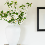 White cherry blossoms in a tall white vase