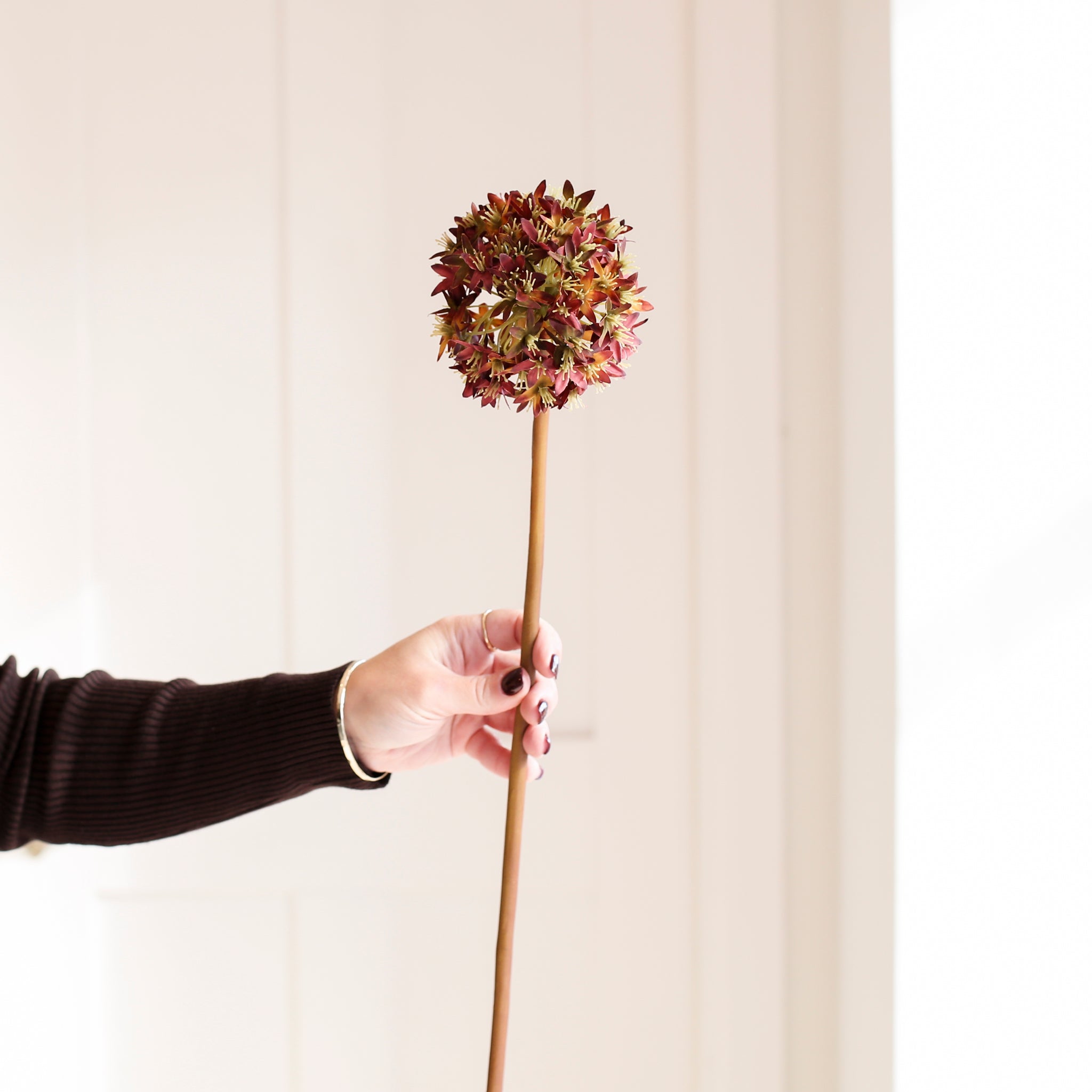 A stunning Hydrangea stem in warm cream and brown. 