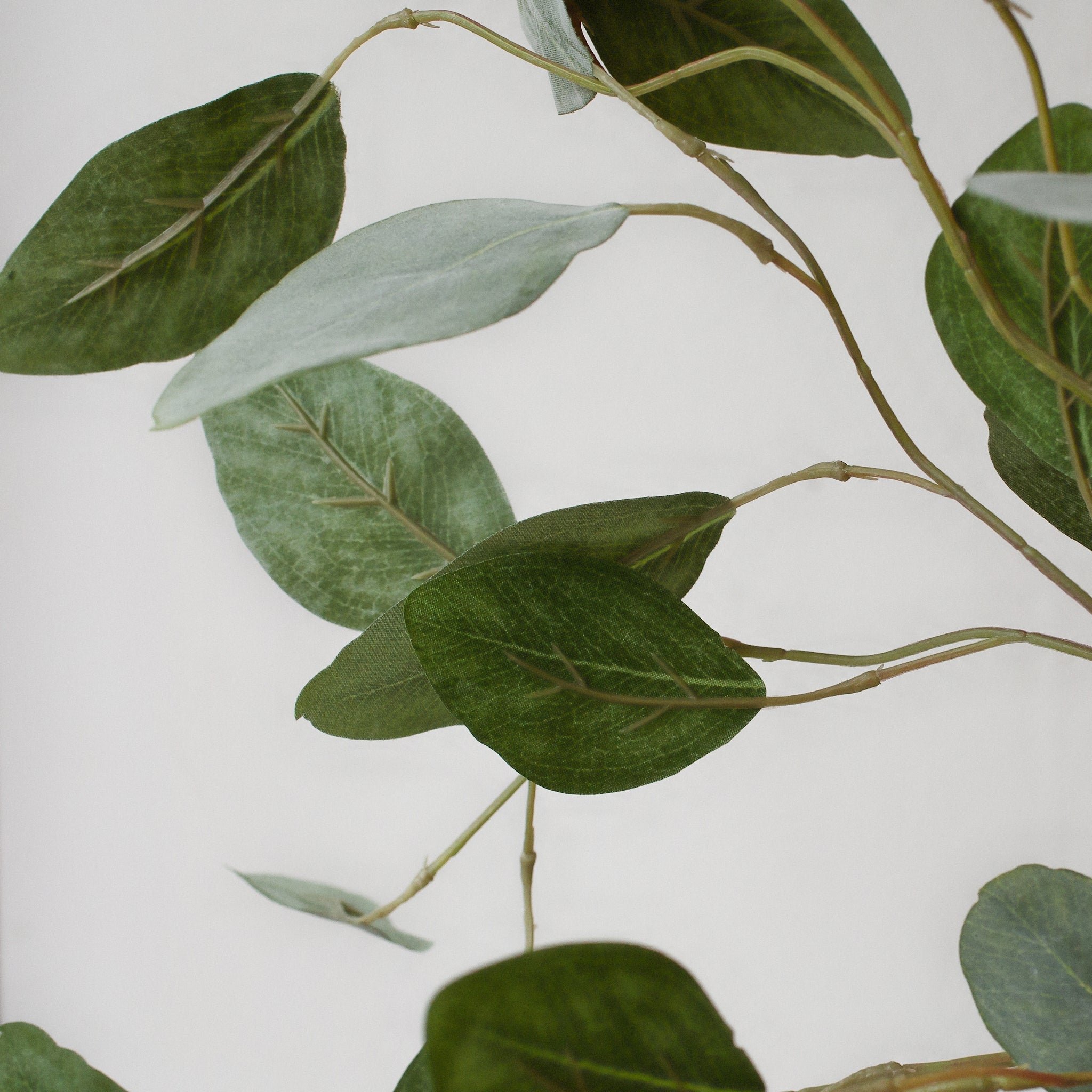 Our faux silver dollar eucalyptus stem features round, silvery-green leaves 