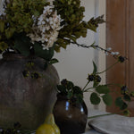 A stunning Hydrangea stem in warm cream and brown.