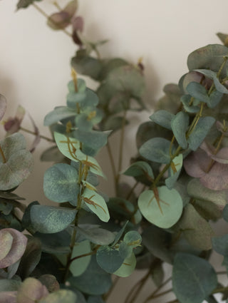 CharlesTed Home Eucalyptus Stem | Single Stem