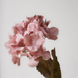 Soft Pink Hydrangea Spray | Three Stems