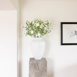 Charles Ted Dianthus mini spray | Set of Three