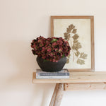 Elliptical black pot