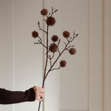 Charles Ted Horse Chestnut Stem