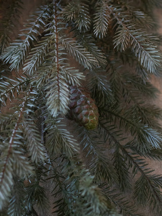 Close detail of the soft blue-green needles on the noble pine garland