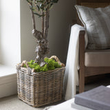 Charles Ted Large Bag of Real Green Moss