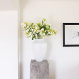 Charles Ted Viburnum spray