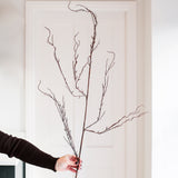 Charles Ted Brown Twig Spray | Single Stem