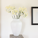 Charles Ted Agapanthus stem white | Set of Three