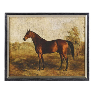 Badminton Vintage Horse Framed Print