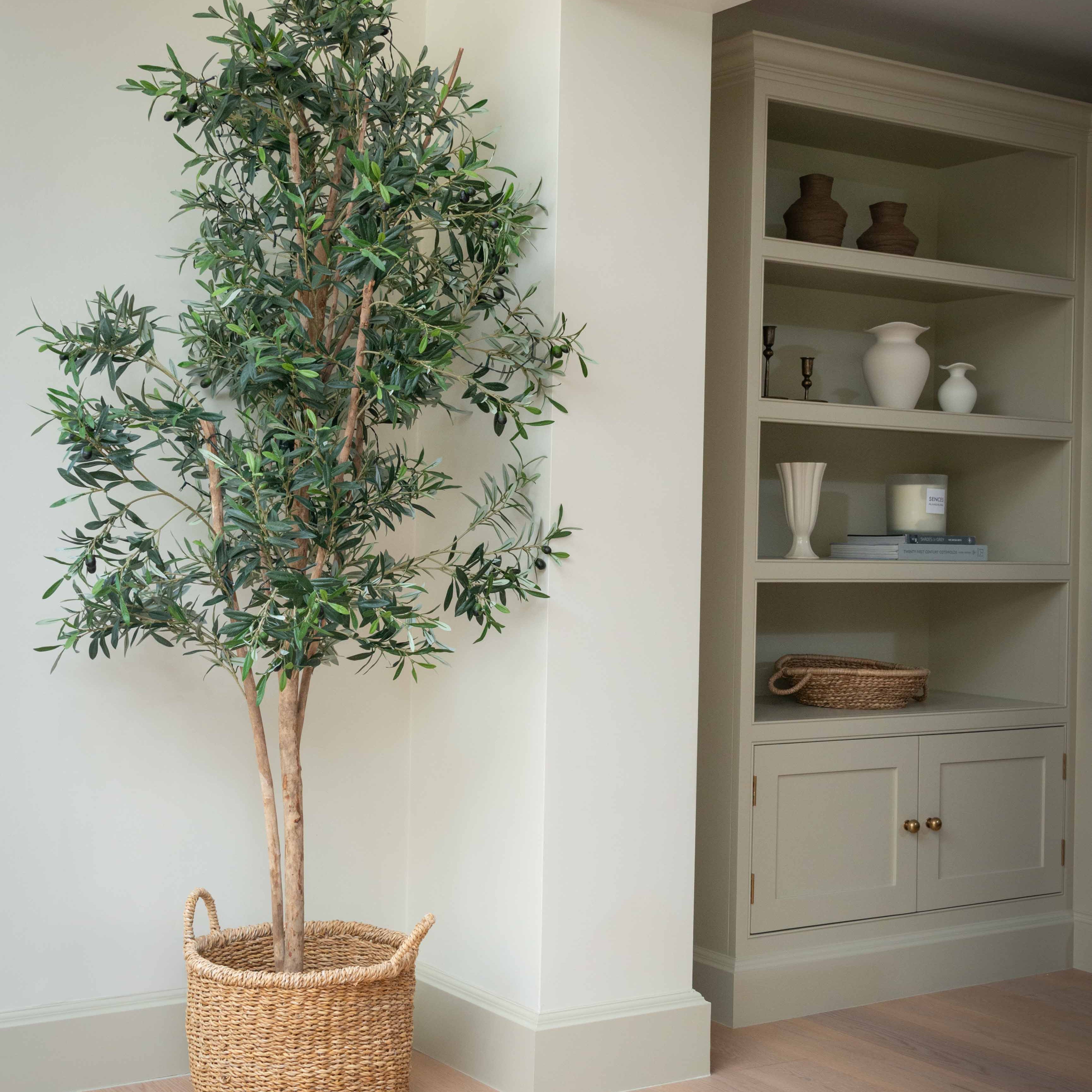 Bring Timeless Mediterranean Charm to Your Space with Our Faux Olive Tree

Add a touch of natural elegance to any room with our&nbsp;artificial olive tree, designed to replicate the delicate beauty of a real olive plant without the upkeep. Standing at an impressive 180cm (5.9 feet), this lifelike faux olive tree features slender branches, realistic green leaves, and carefully crafted faux olives for an authentic look.

Perfect for home interiors, offices, or commercial spaces, this artificial indoor olive t