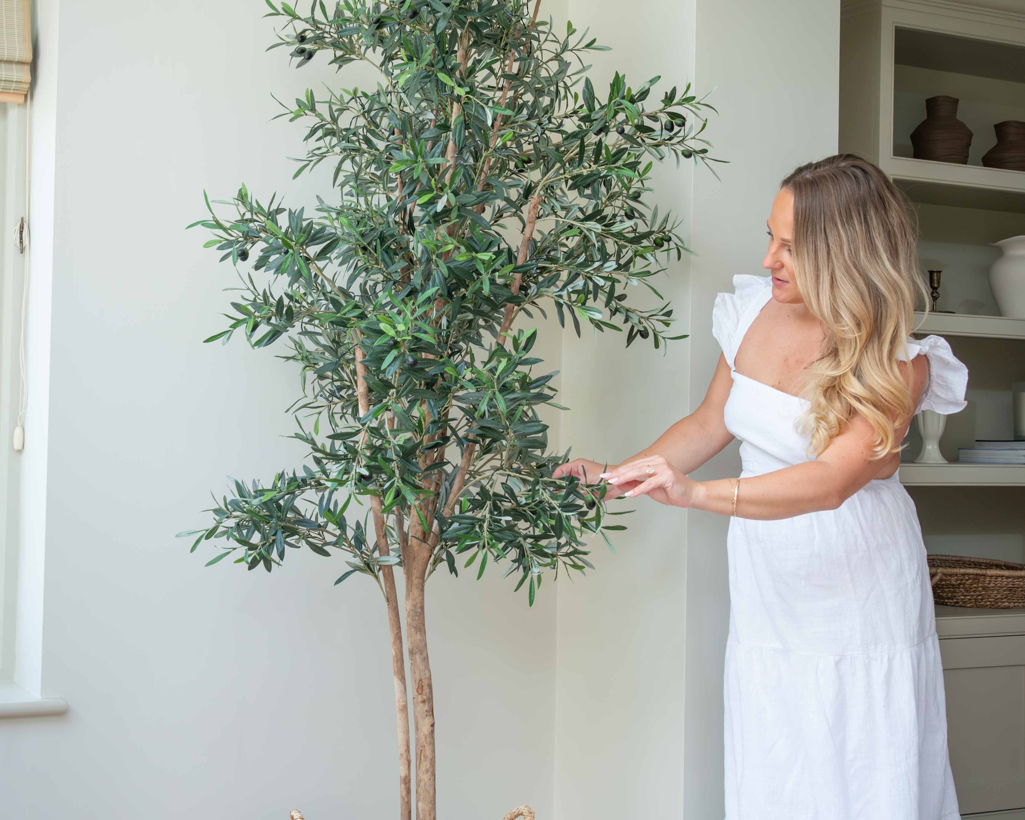 Woman in a white dress standing next to a potted olive tree indoors.