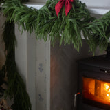 Charles Ted Real Touch Extra Full Weeping Norfolk Pine Garland | 185cm