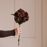 A stunningly lifelike faux burgundy hydrangea with a burgundy colour and hints of green.