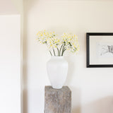 Charles Ted Agapanthus stem white | Set of Three