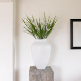Pennisetum spray | Set of Three