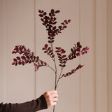 Charles Ted Plum Leaves Spray | Single Stem