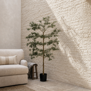 A styled interior corner with a cream sofa, a potted small tree, a woven rug, a textured plaster wall, and a wooden ceiling beam in natural light.