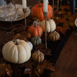 Charles Ted Rustic White Faux Pumpkins | Small & Medium Decorative Sizes