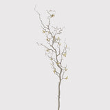Contorted Branch with Catkins | Set of Three