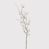 Charles Ted Contorted Branch with Catkins