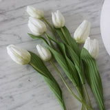Charles Ted Artificial White Tulip Bunch with Seven Stems