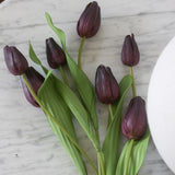 Charles Ted Artificial Aubergine Tulip Bunch with Seven Stems