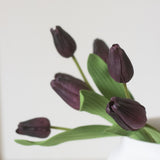 Charles Ted Artificial Aubergine Tulip Bunch with Seven Stems