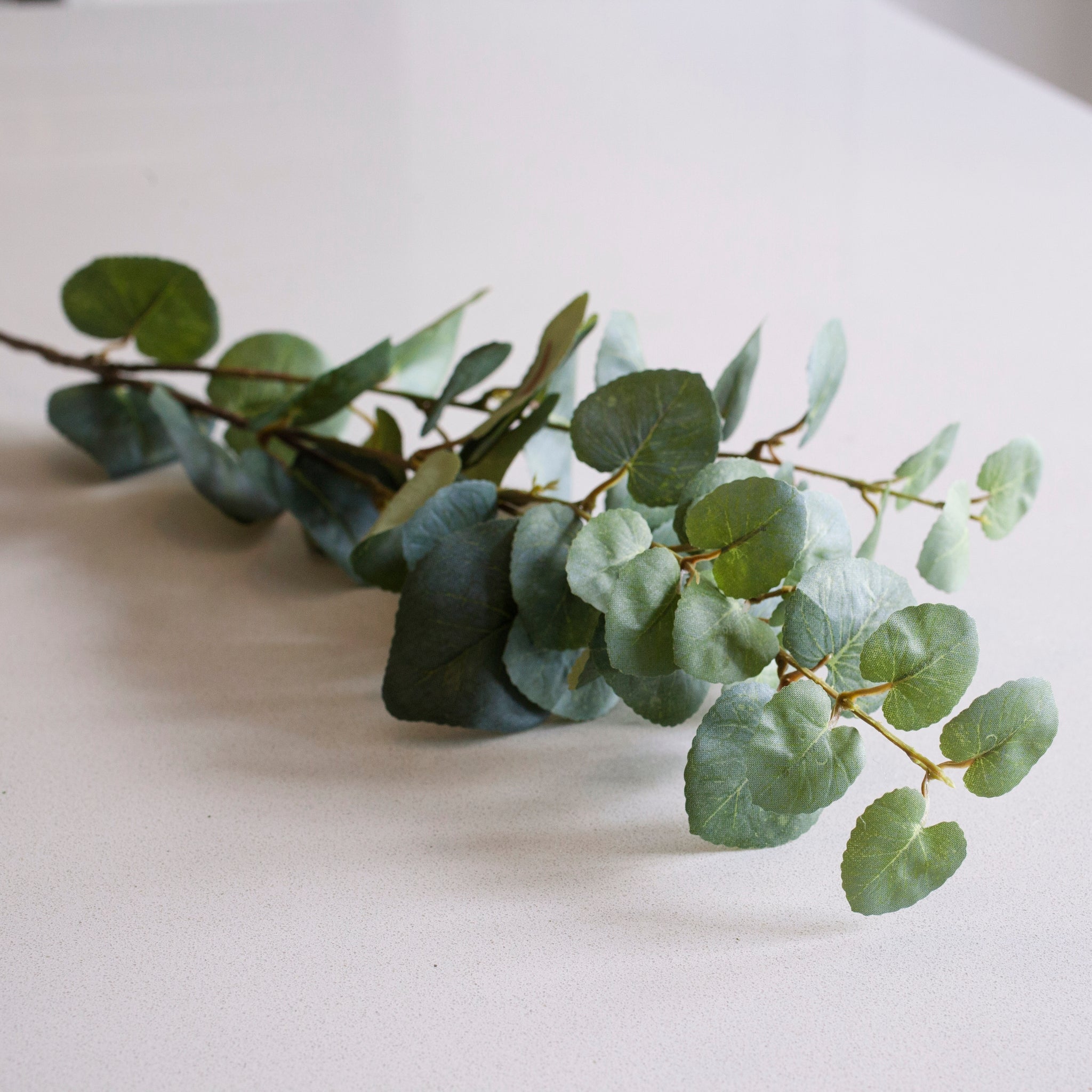 Charles Ted Natural Eucalyptus Stem
