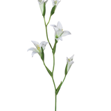 White Gladioli Stem | Three Stems