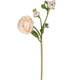 Pale Pink Ranunculus Real Feel | Three Stems