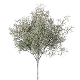 A beautiful bunch of three Spanish moss bush stems