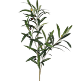 Charles Ted Mediterranean Faux Olive Spray | Three Stems
