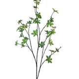 Enkianthus Foliage Stem | Three Stems