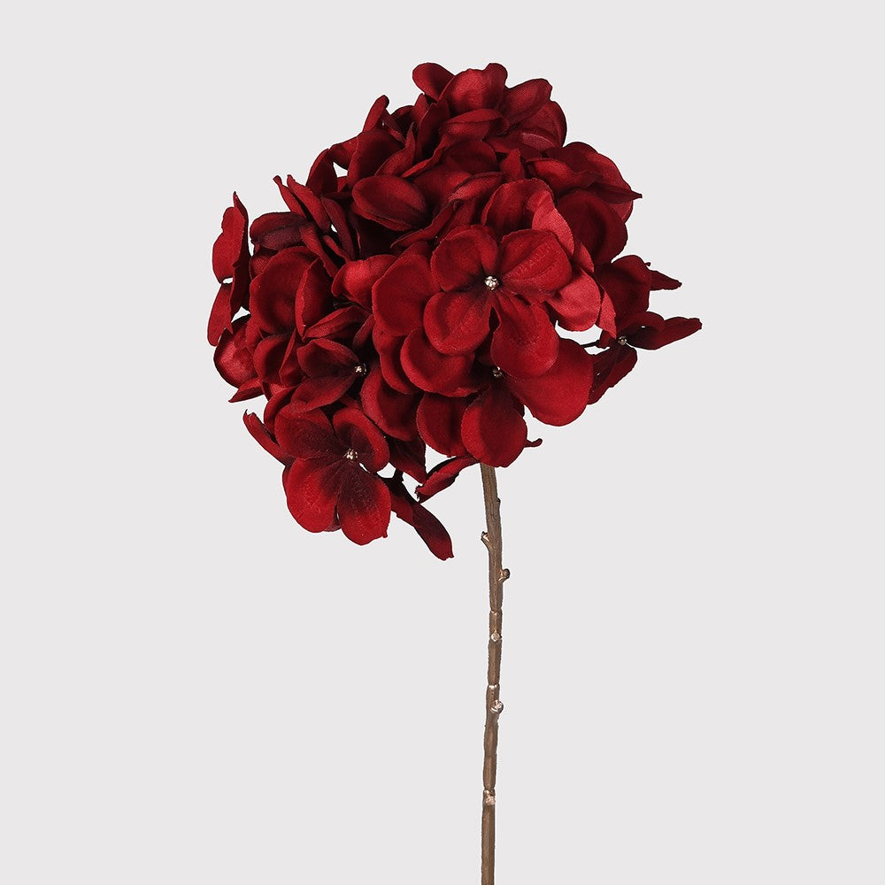 Crimson Red Hydrangea