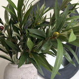 Charles Ted Mediterranean Faux Olive Spray | Three Stems