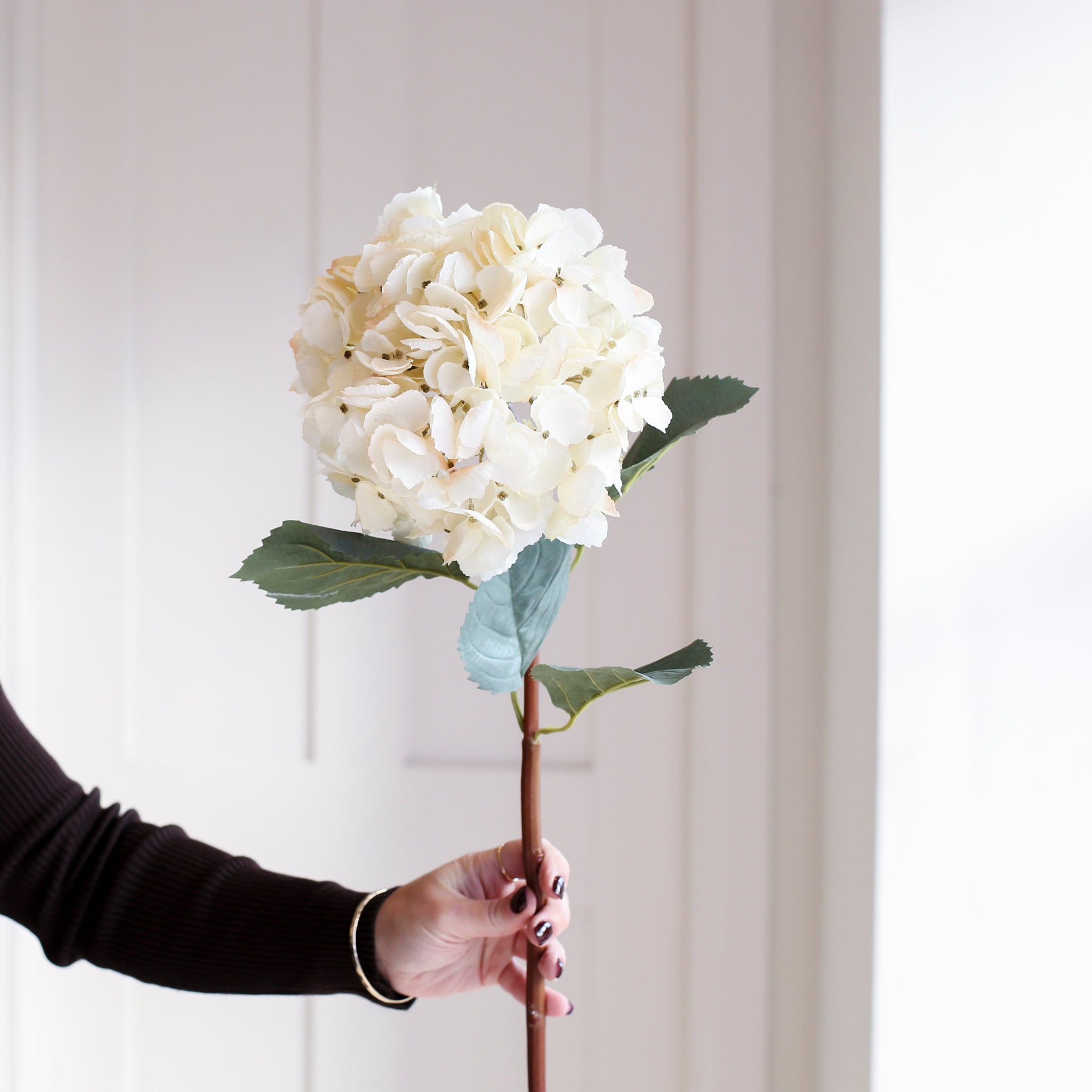 A stunning Hydrangea stem in beautiful cream. 