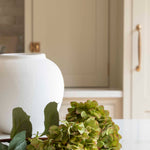 A stunning Hydrangea stem in warm green.