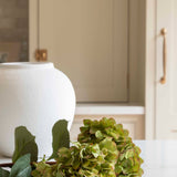 A stunning Hydrangea stem in warm green.